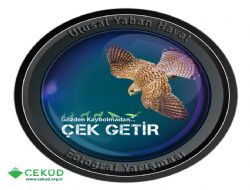 “Gözden kaybolmadan çek getir”